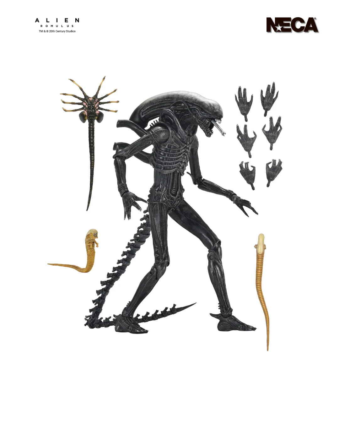 NECA - Romulus - Ultimate Xenomorph XX121 7" Scale Action Figure